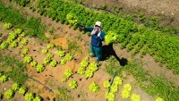 Pitimbu consegue liberar 100 projetos agrícolas travados há mais de um ano após articulação da Secretaria de Meio Ambiente junto à Sudema